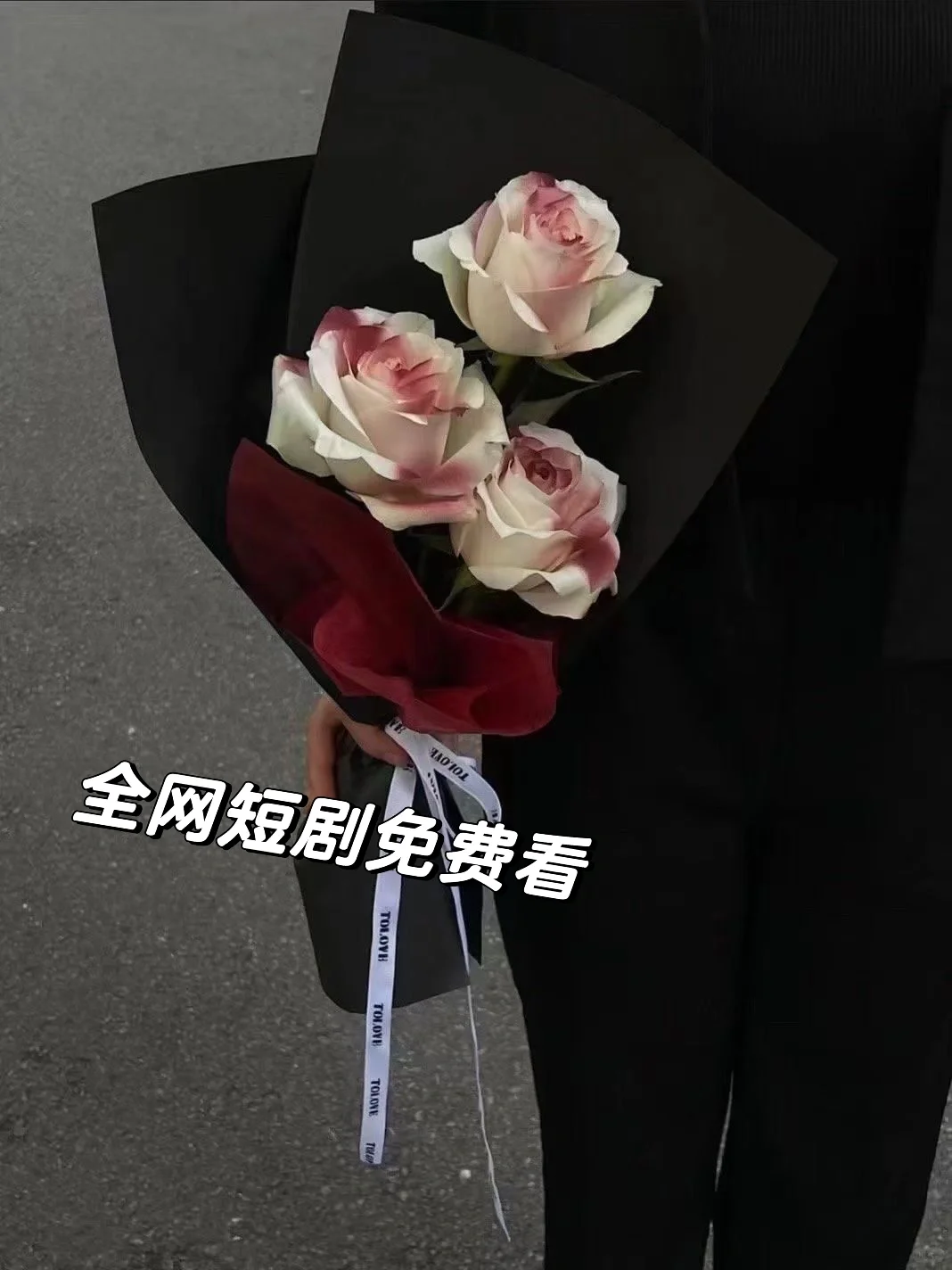 全网短剧免费看