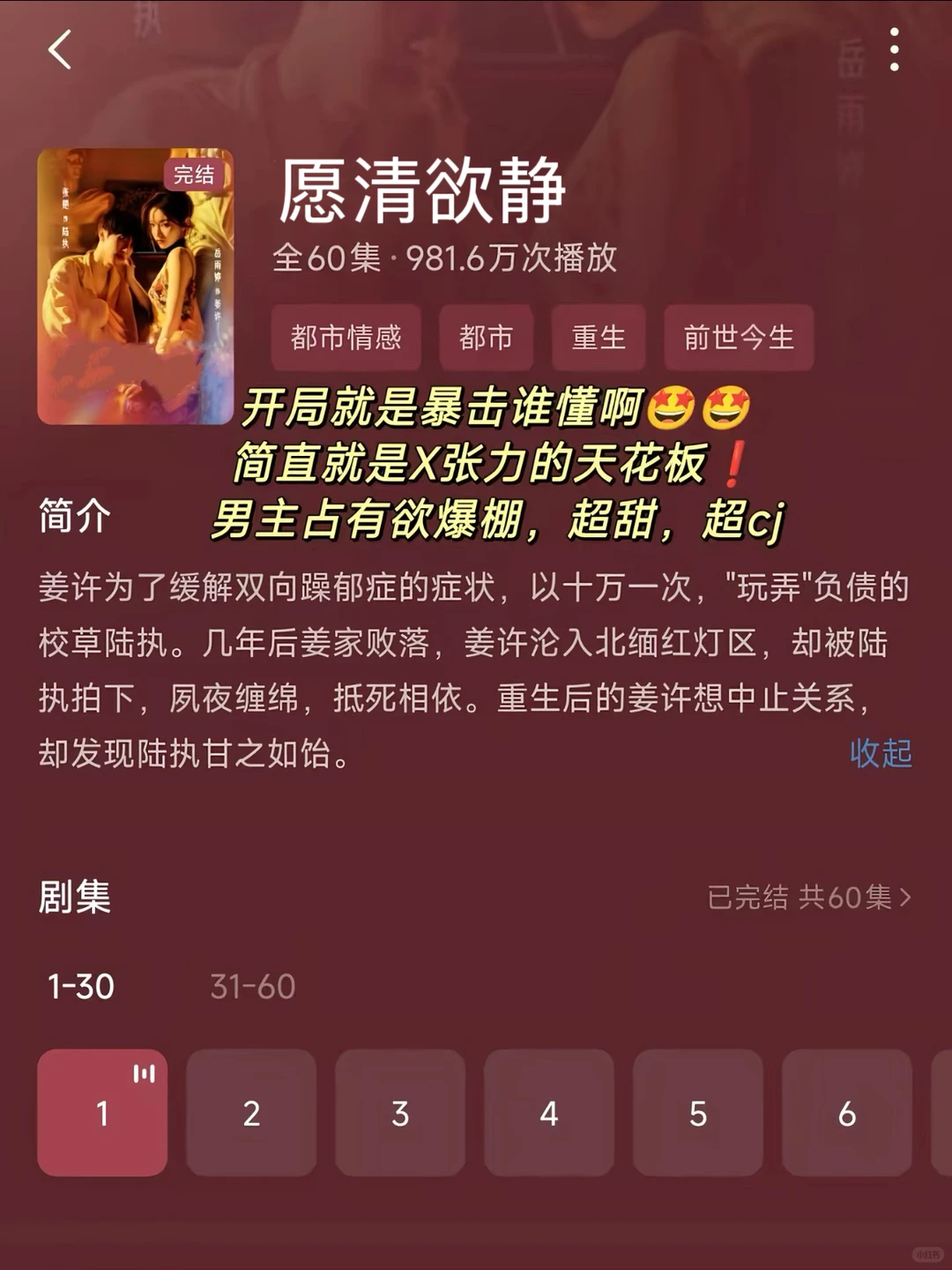 这才是成年人深夜看的宝藏好剧🥩尺渡无敌