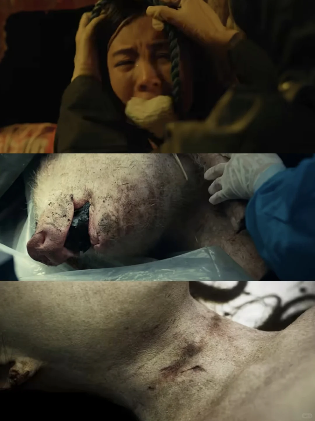 🚨凶案现场‼️悬疑犯罪‼️全员狠人❗️