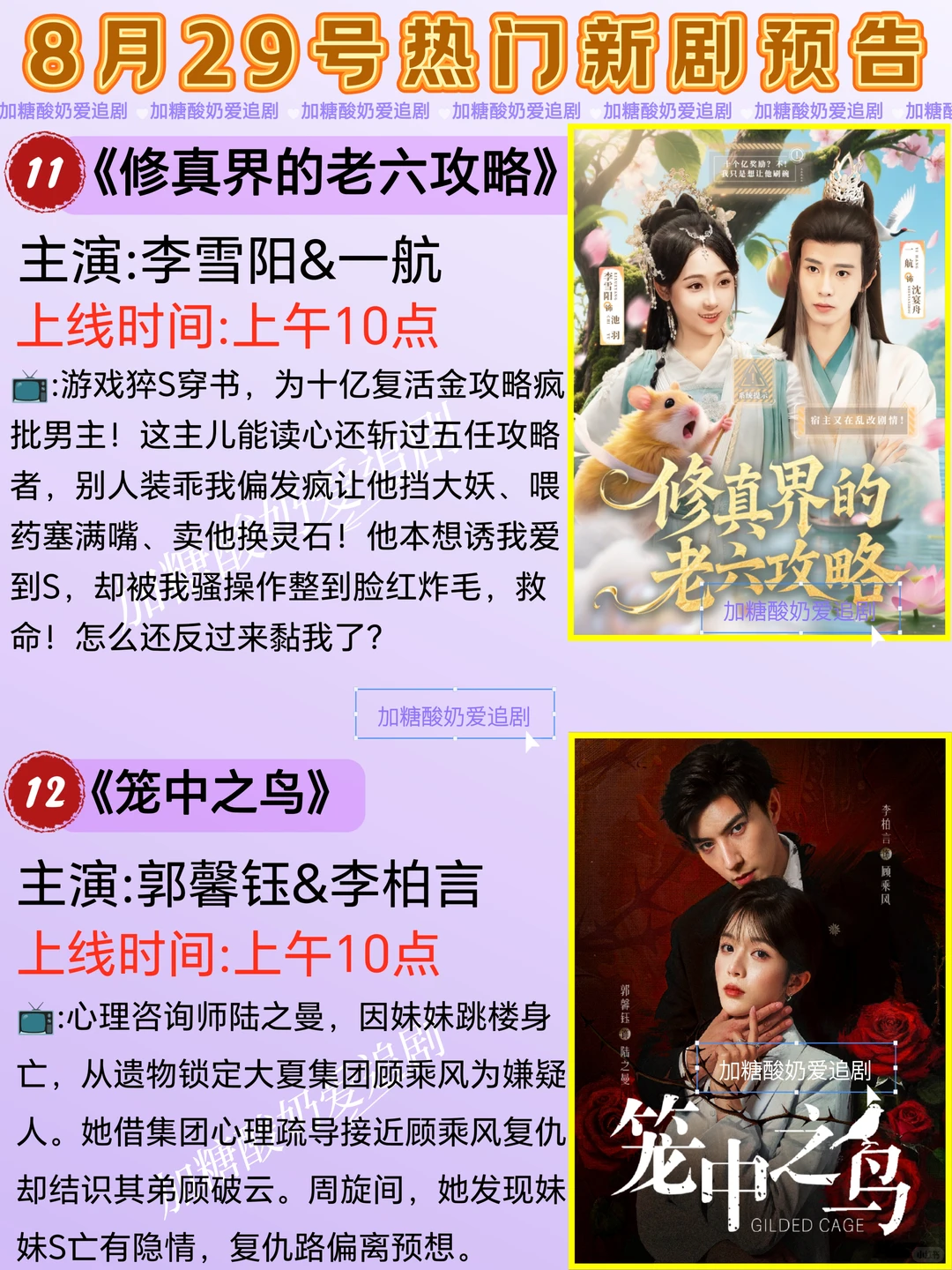 天花板短剧💥8月29日热门短剧预告