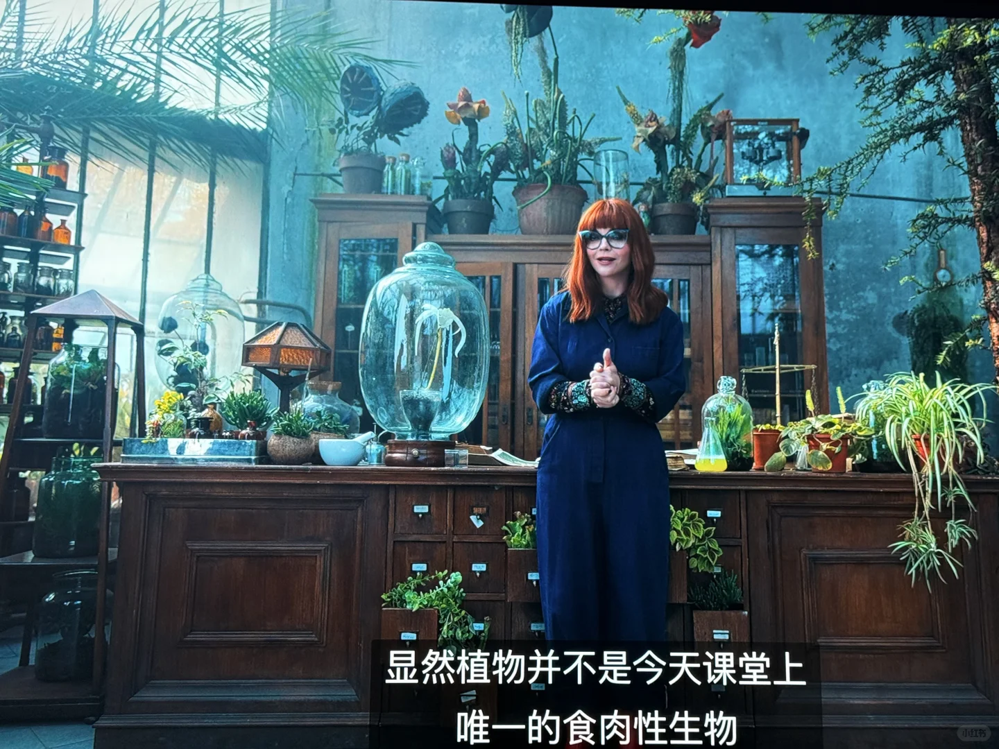 来看看Apple Tv真4k的画质