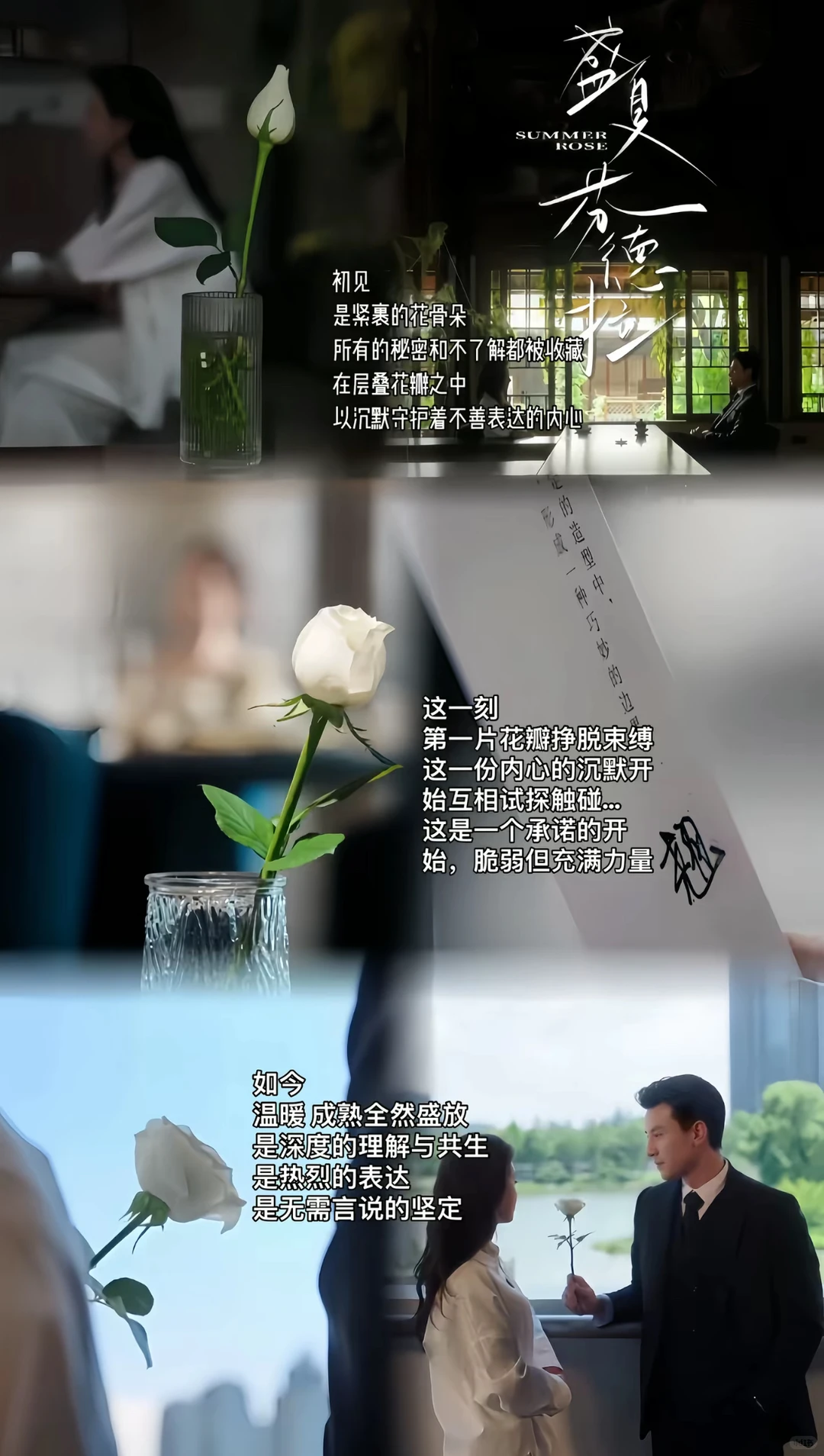 别错过盛夏芬德拉，我磕疯了❣️