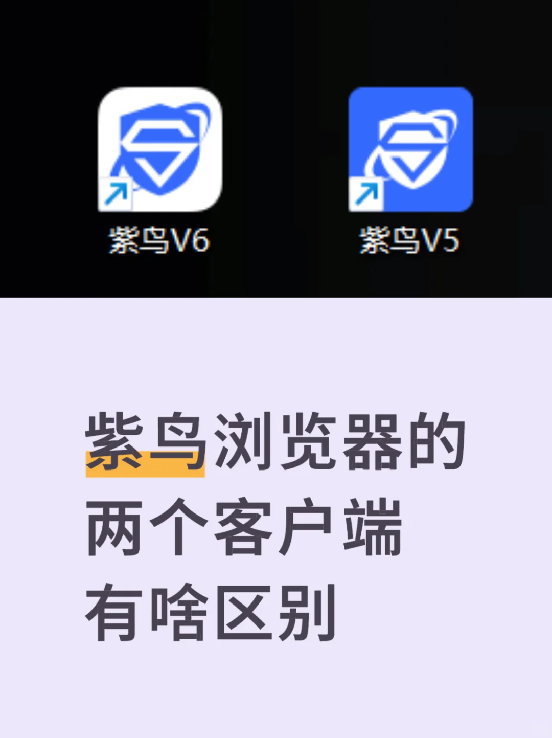 🔥一台电脑也能同时登录两个紫鸟账号！！