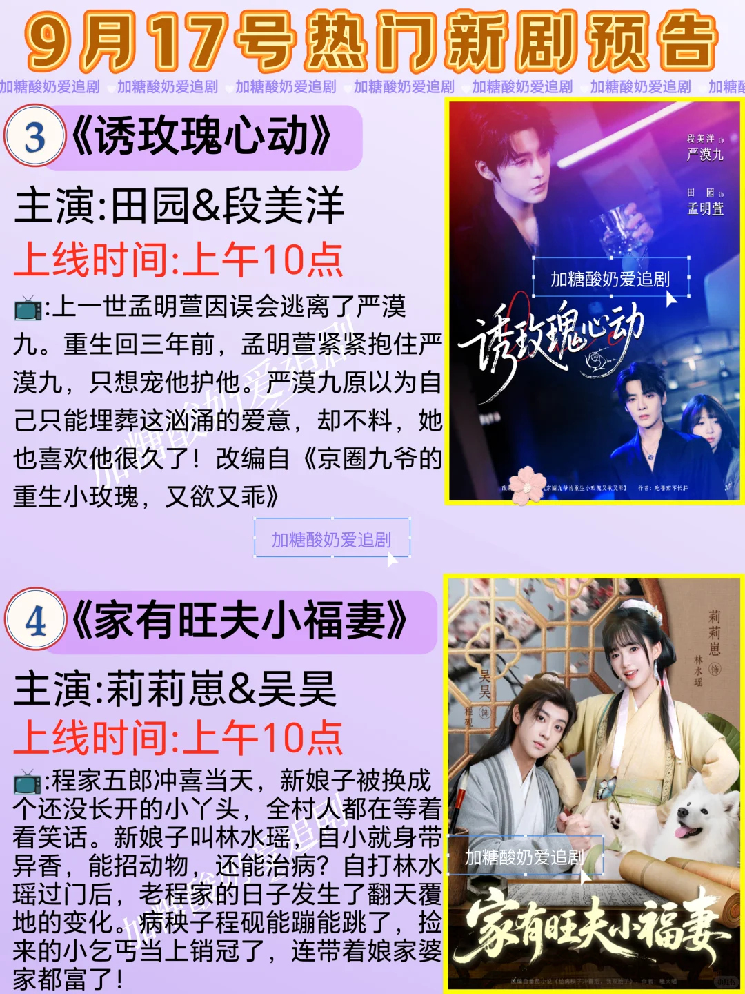 天花板短剧💥9月17日热门短剧预告