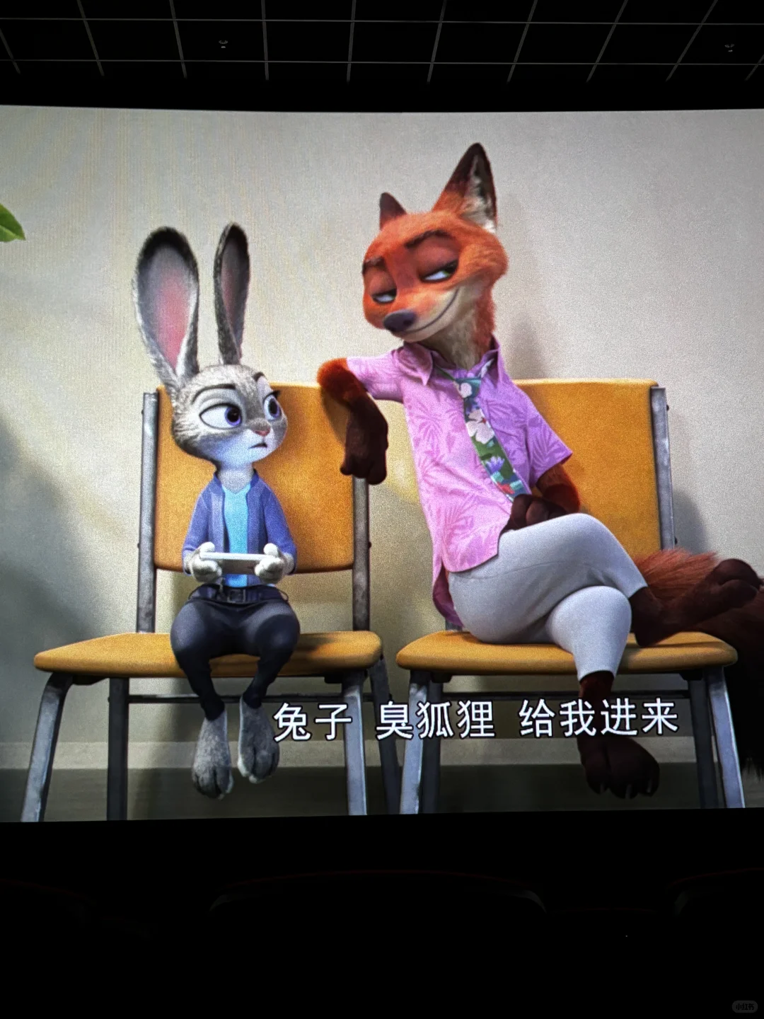 看完疯狂动物城2啦！！！！