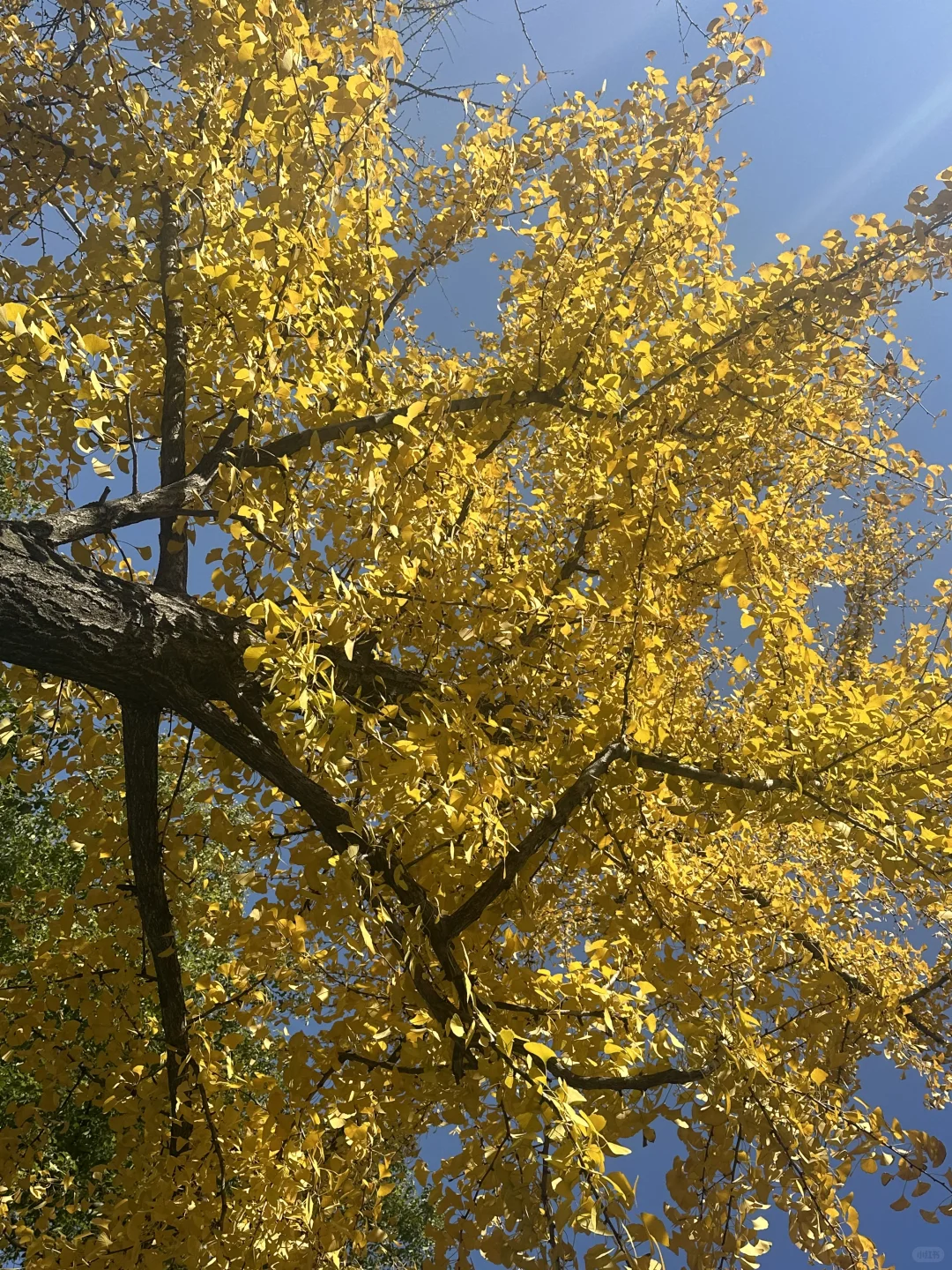 2025.11-夜雨聆风
