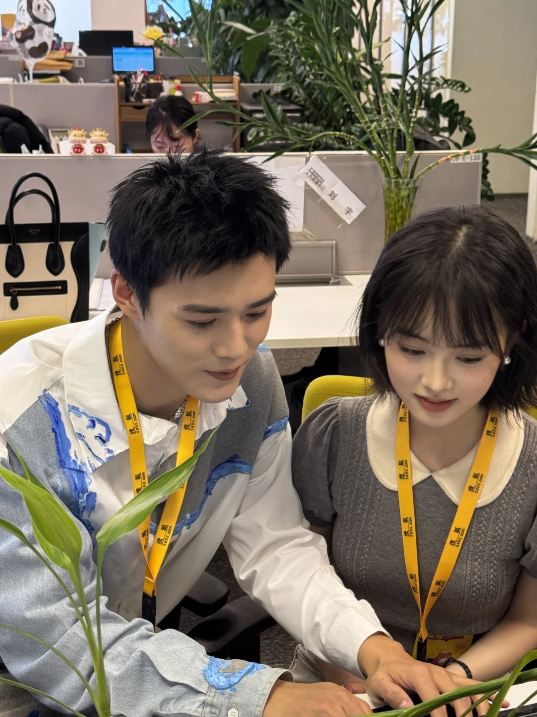 是紫薇！是尔康！