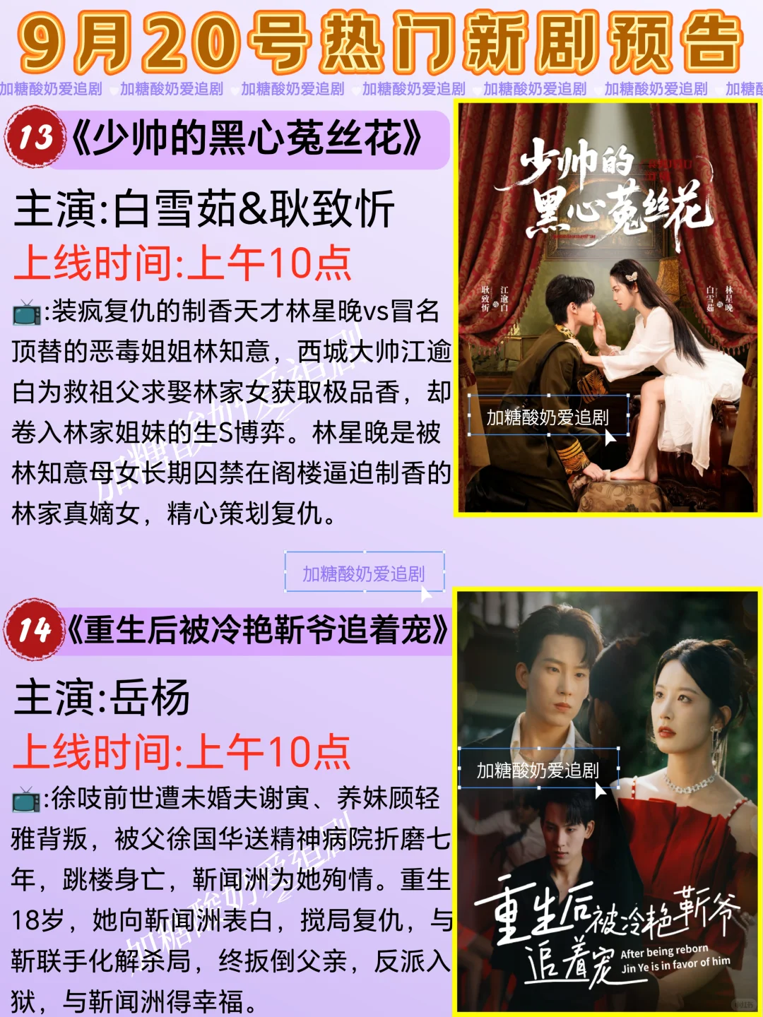 天花板短剧💥9月20日热门短剧预告