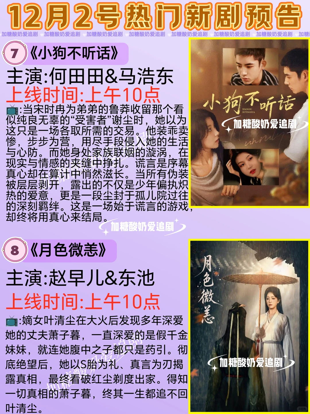 天花板短剧💥12月2日热门短剧预告