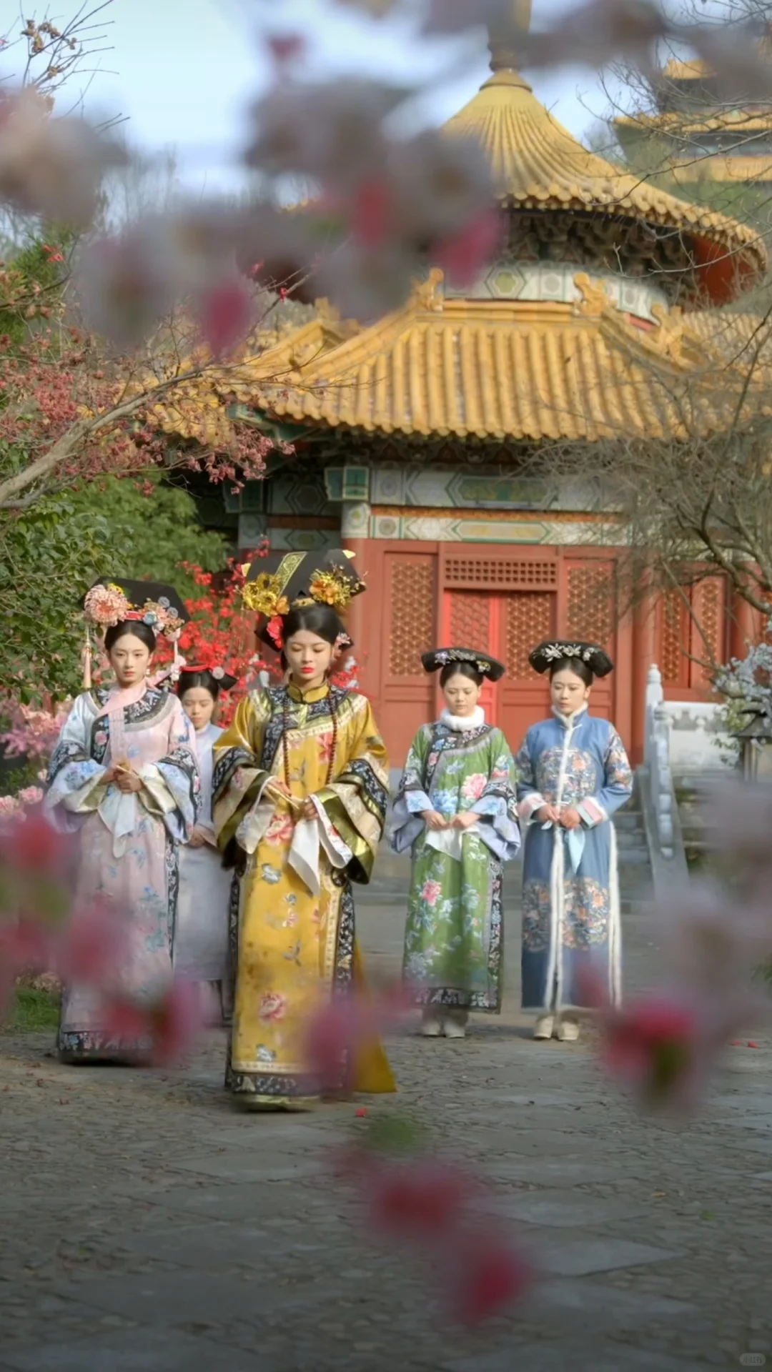 🍅🍆免费短剧 | 绝色娘娘，融剧高手啊