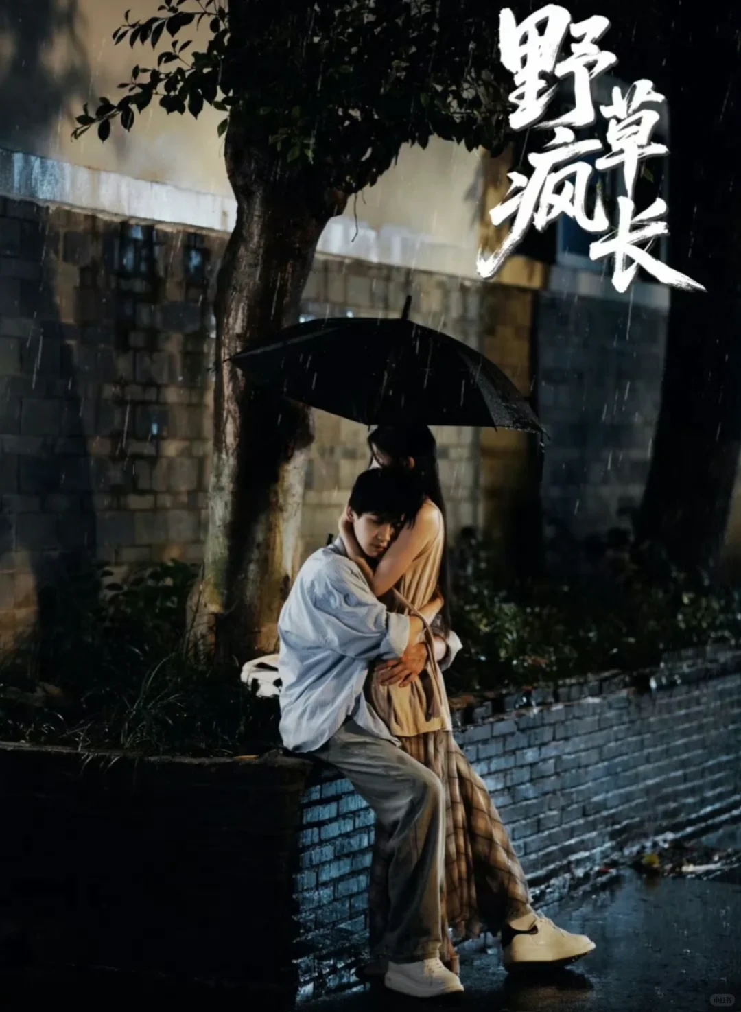 短剧推荐野草疯长：爱会再次心动