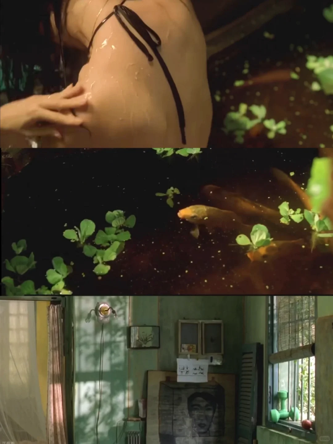 电影推荐🎬｜夏天的滋味🍏