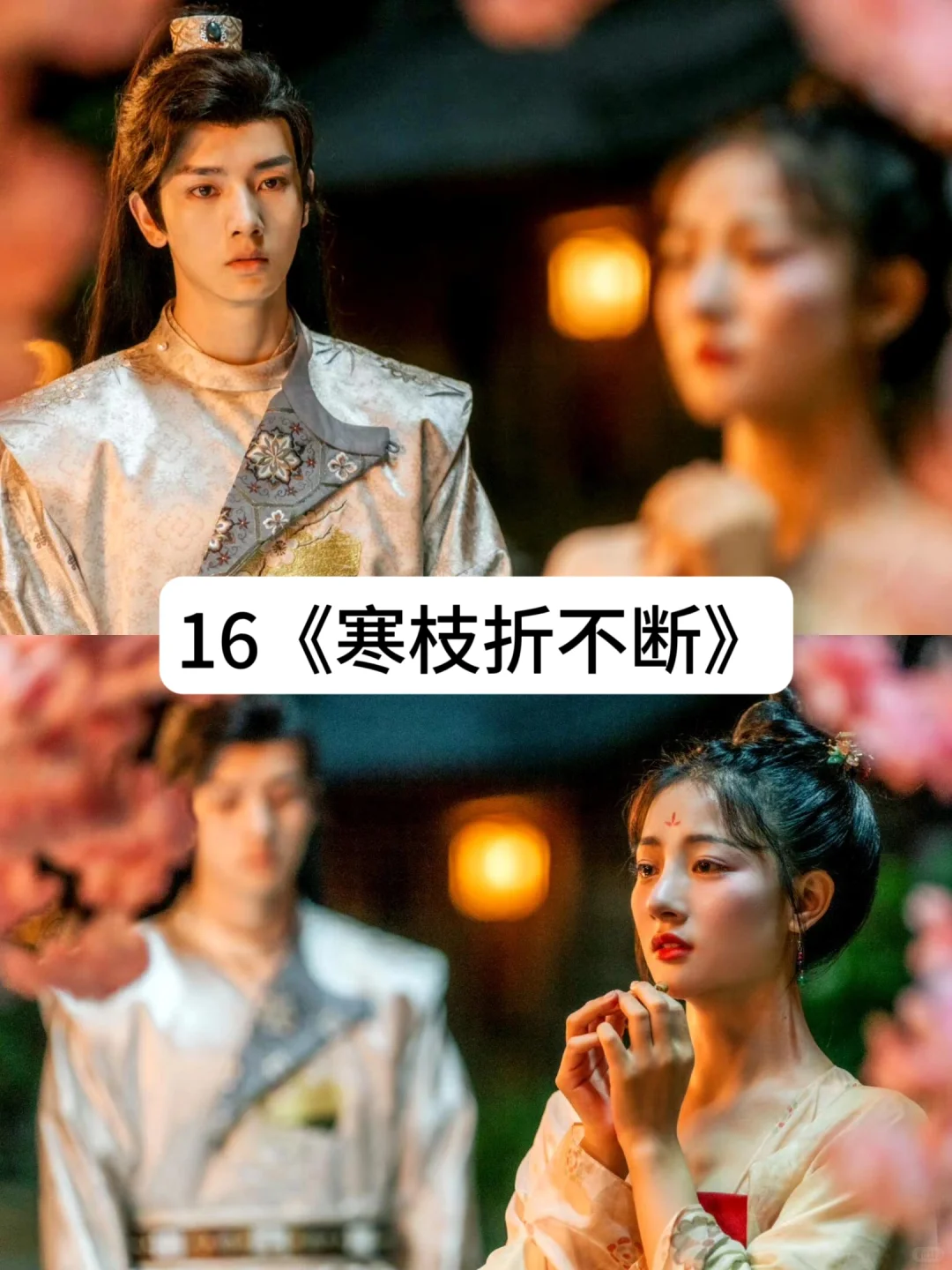 超好看的短剧，熬夜也要追！！