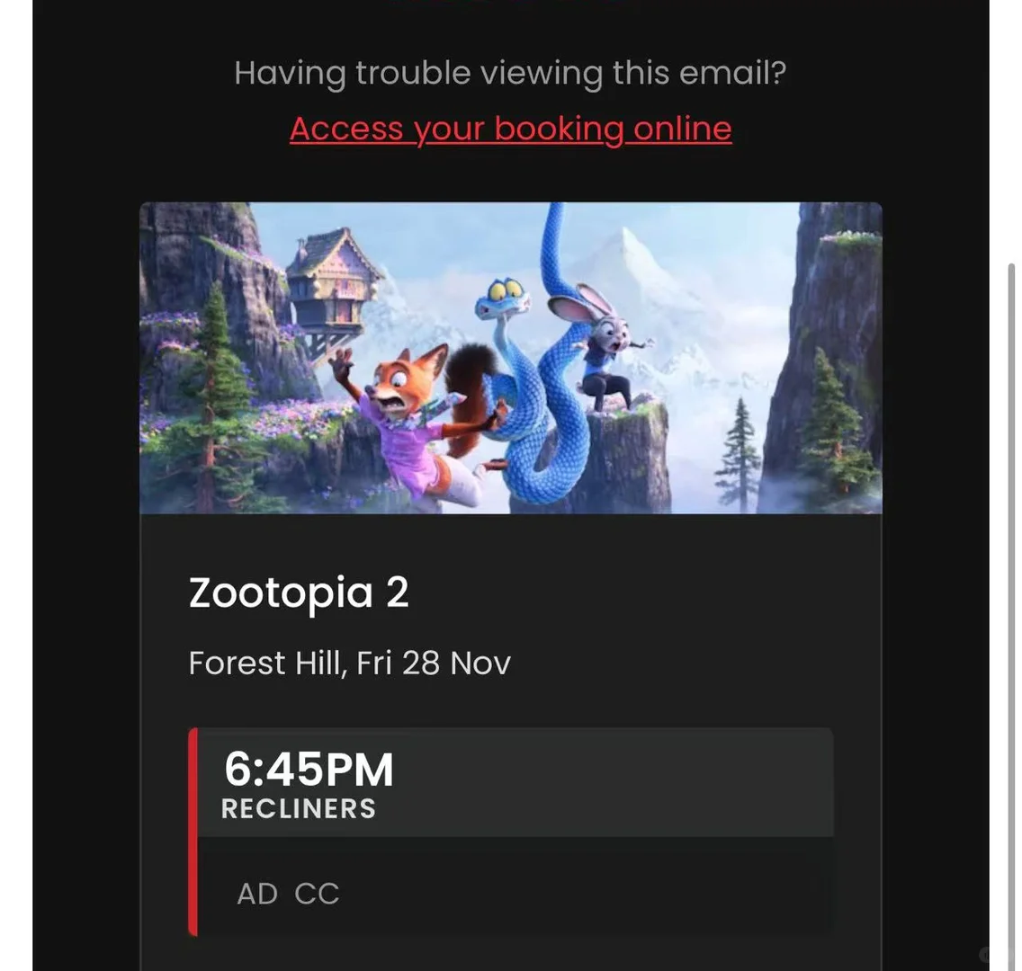 其实电影院是提供字幕器的！