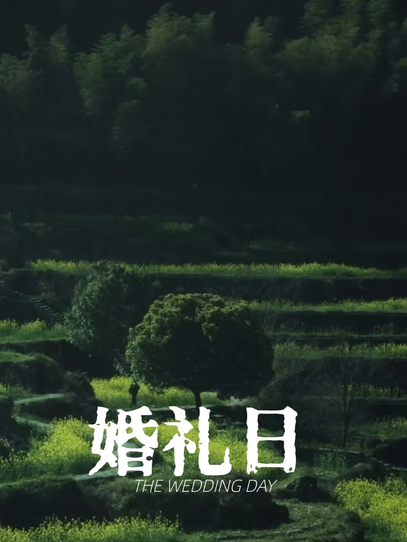 超好看的细糠短剧，一定喜欢！（下篇）