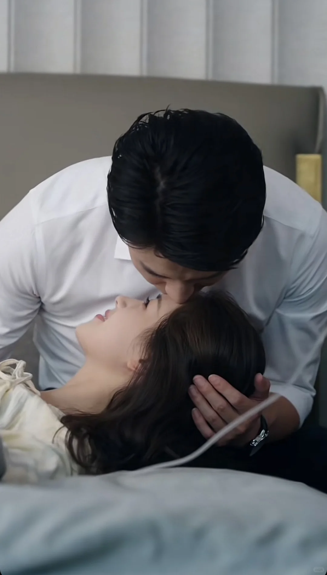 《盛夏芬德拉》我是自来水,我强力推荐!