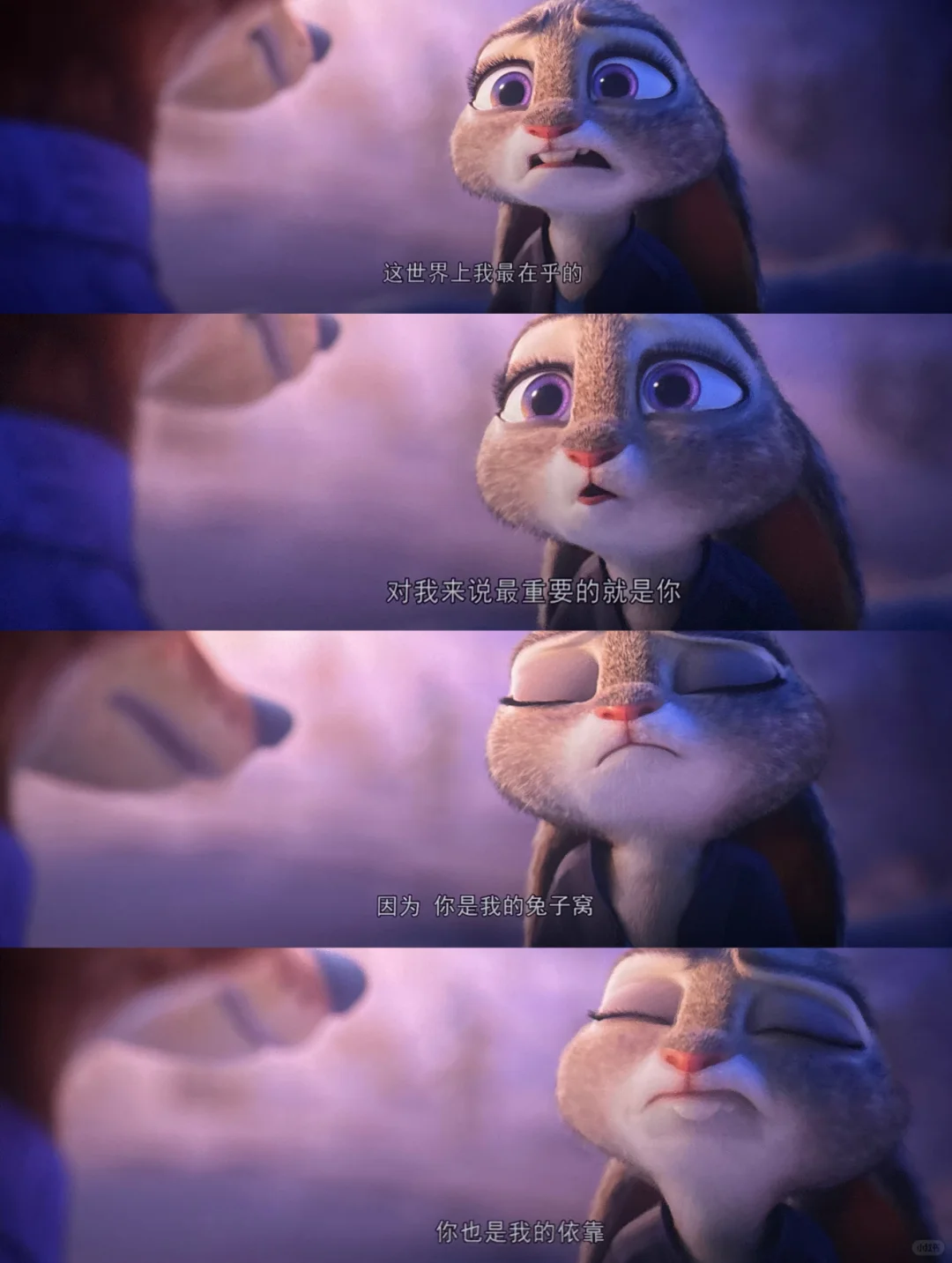 疯狂动物城2，懂……