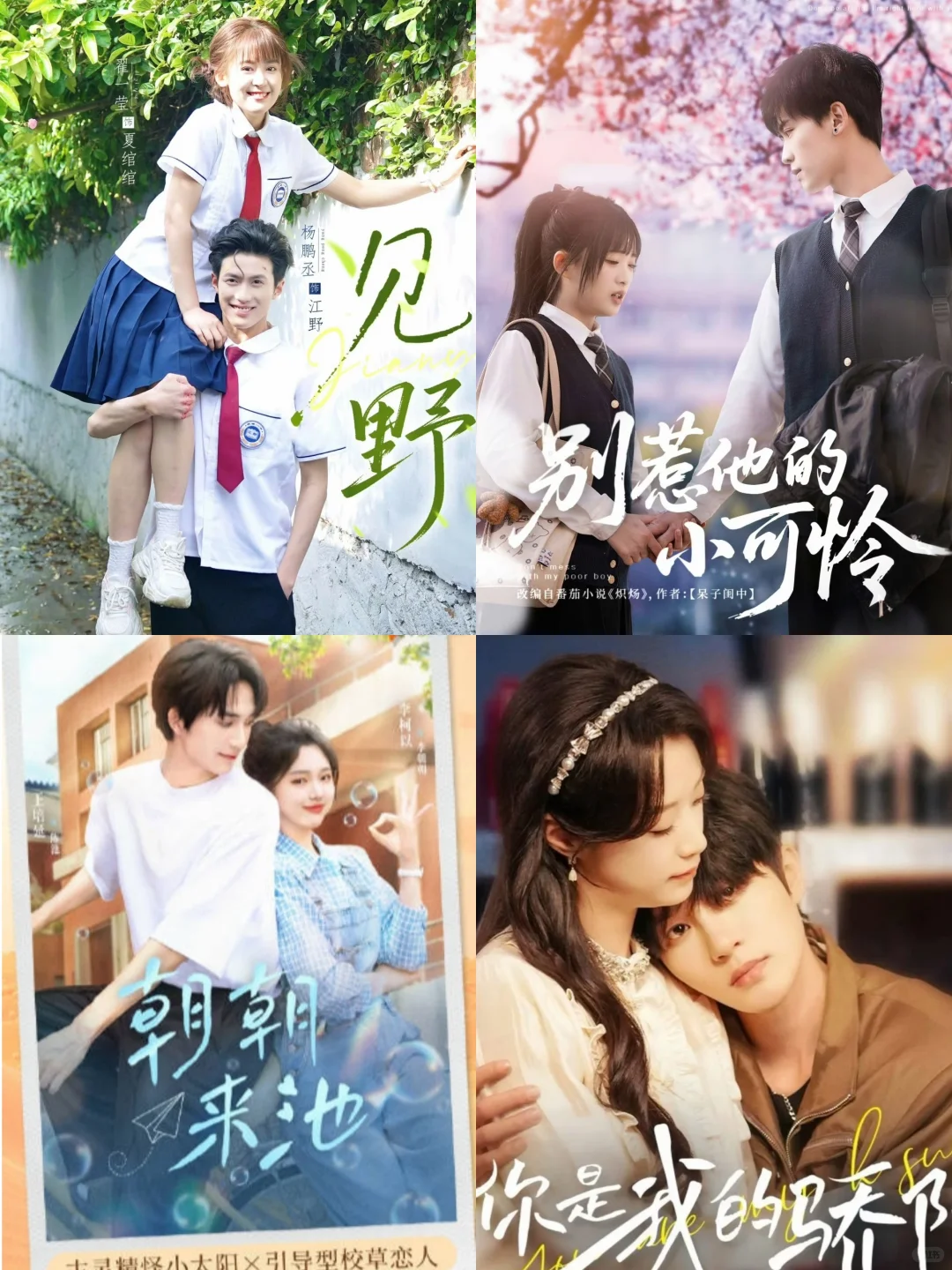 高颜值‼️36部好看的校园小短剧