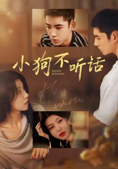 小狗不听话 9星 年下小狗与姐姐