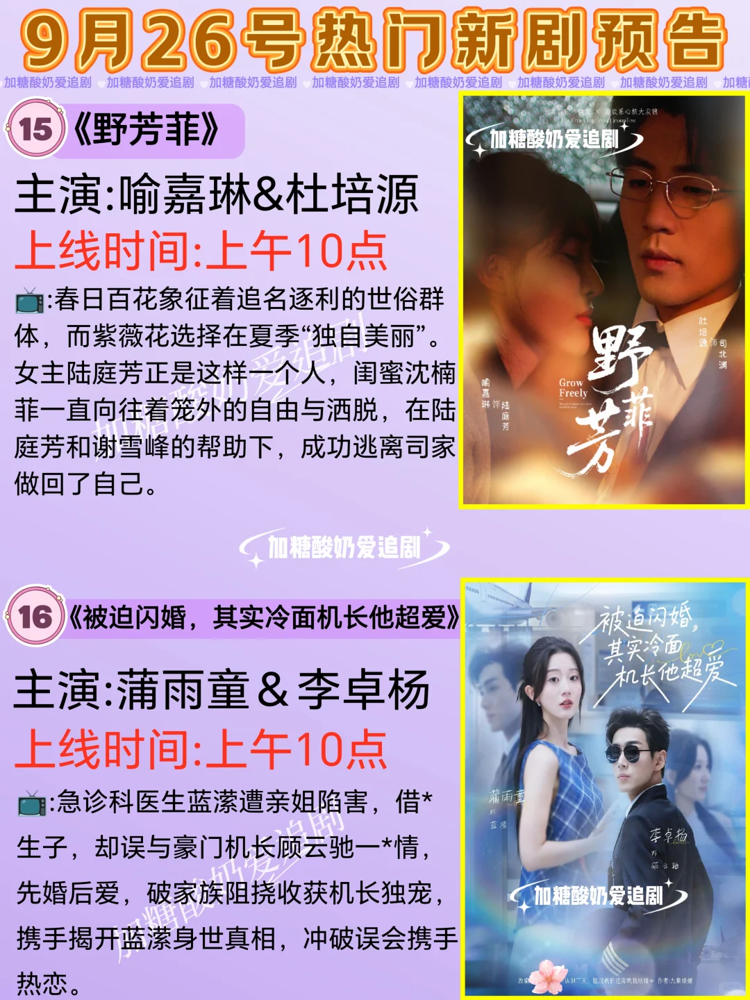 天花板短剧💥9月26日热门短剧预告