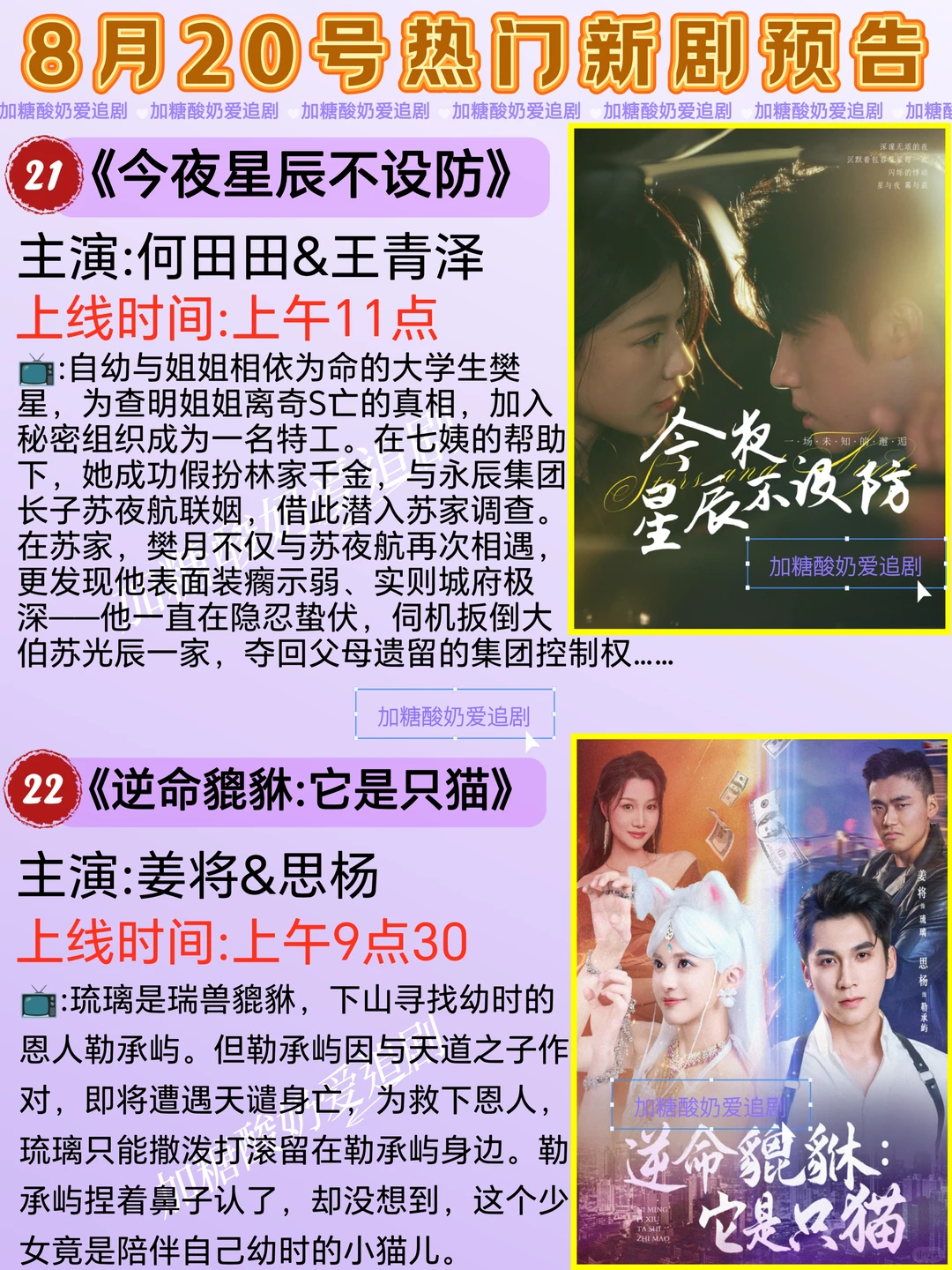 天花板短剧💥8月20日热门短剧预告