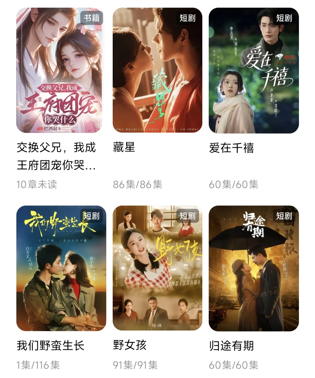 我的短剧收藏清单