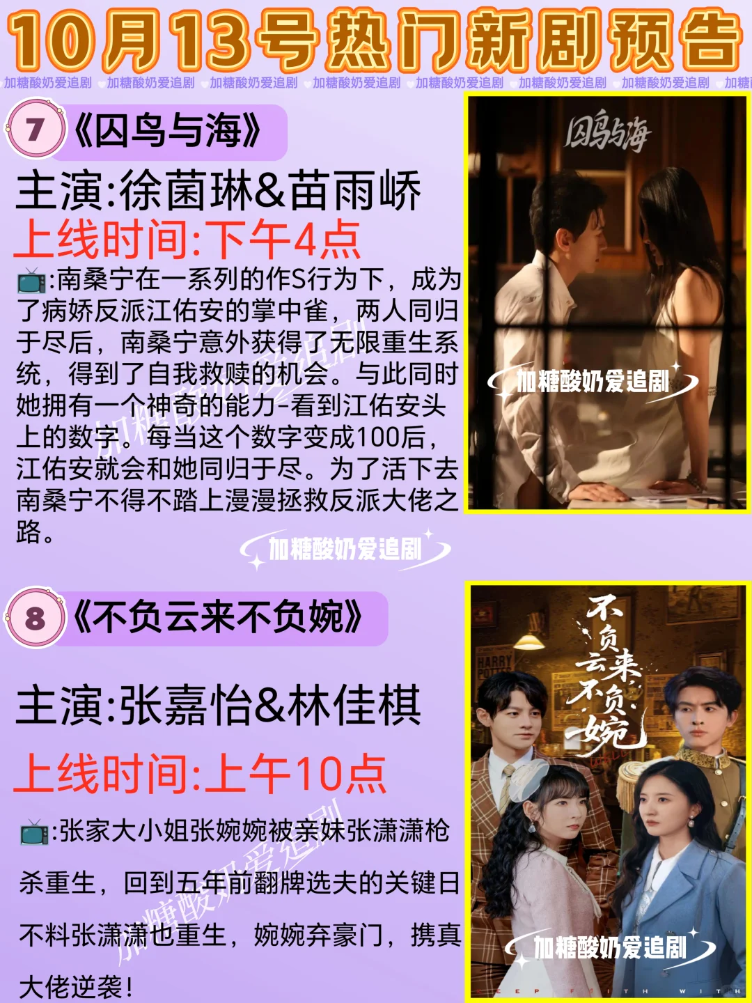 宝藏好剧💥10月13日热门短剧预告