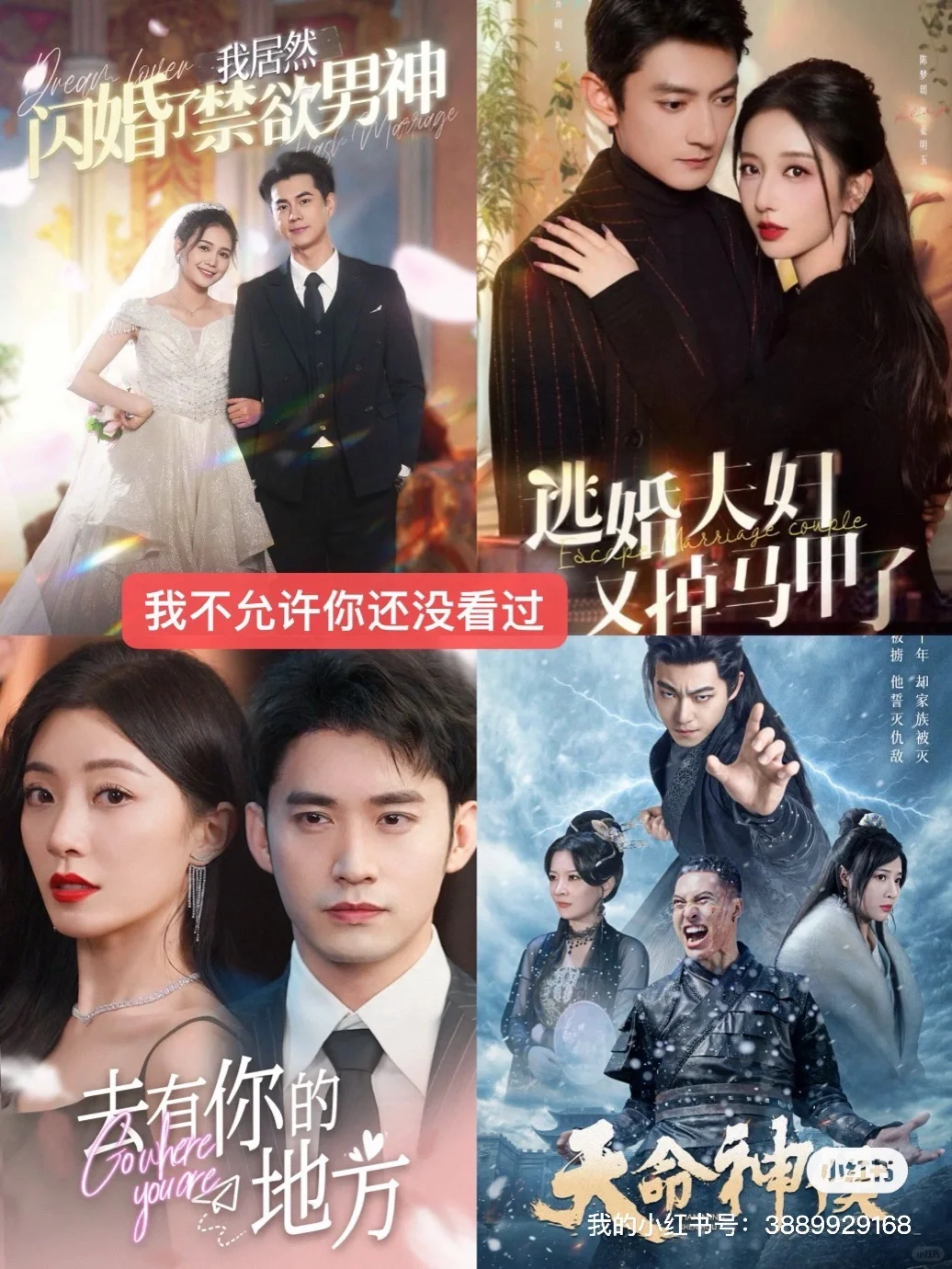 8000部短剧免费更新看全集