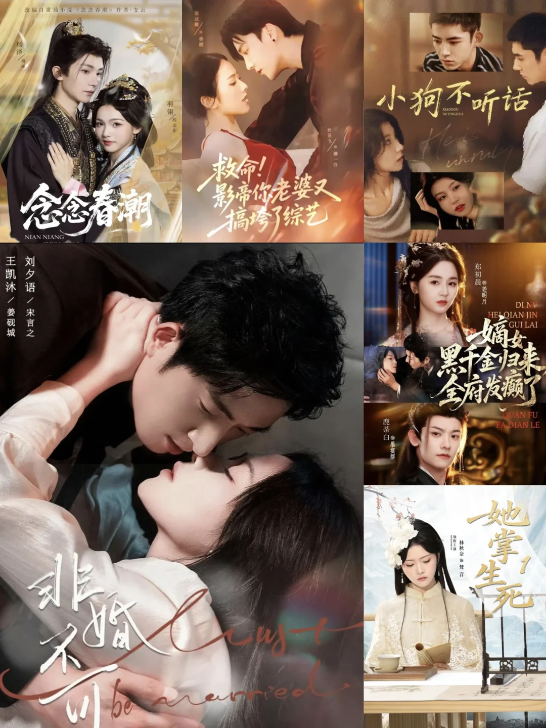 🎬『12月2日』短剧上新｜有你喜欢的么