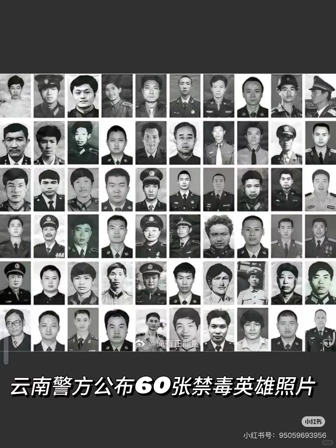 这些牺牲的缉毒警们谁能再给他们一次生命