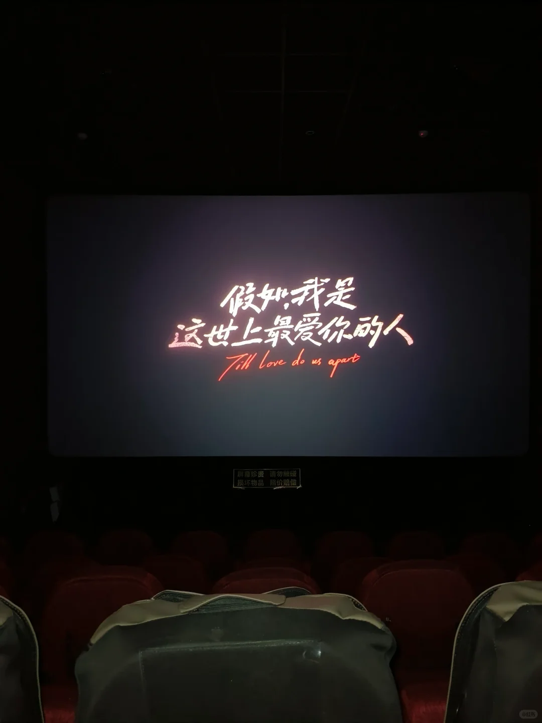 假如我是这世上最爱你的人都别去看了！