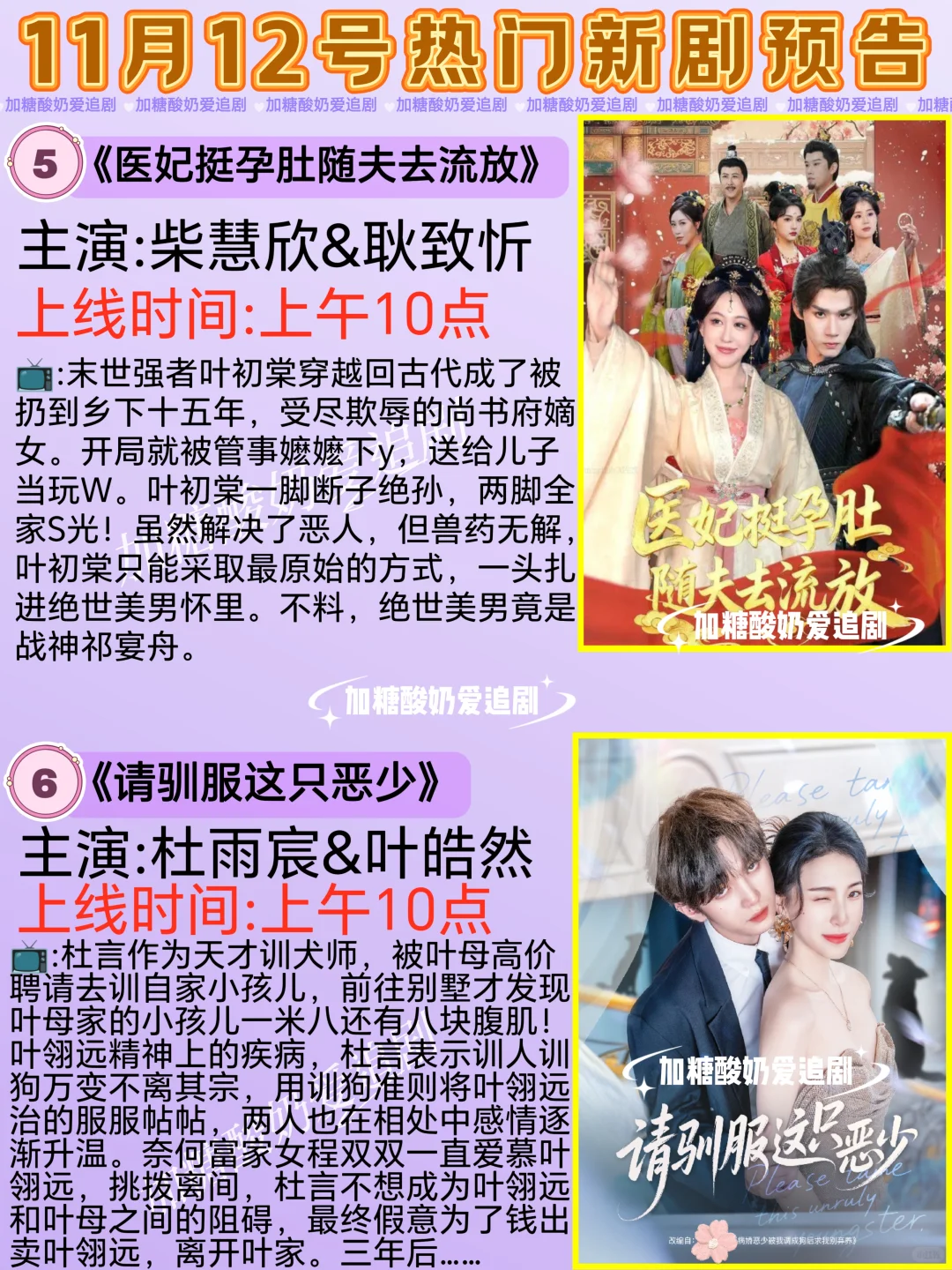 天花板短剧💥11月12日热门短剧预告