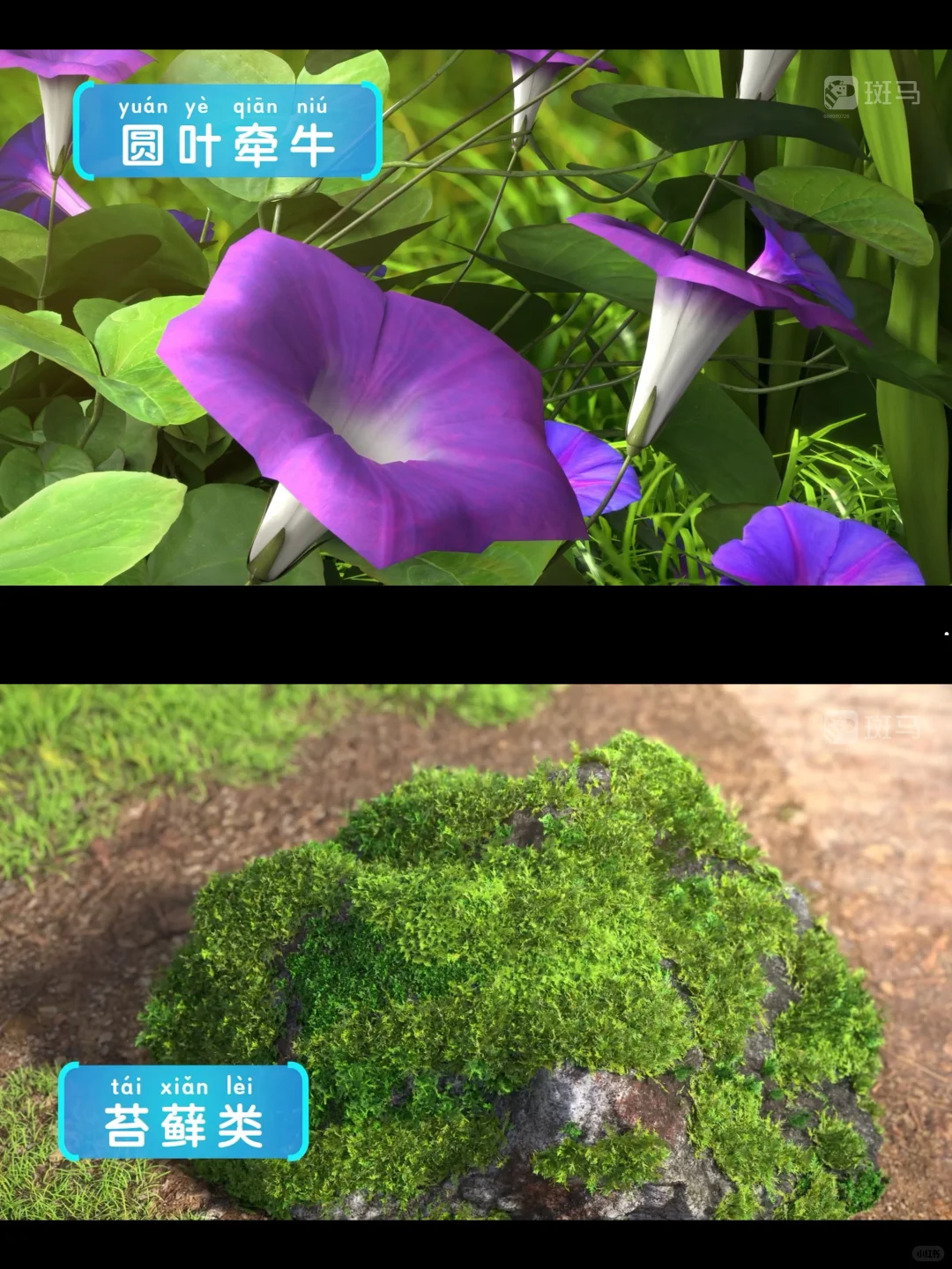 发现了免费的带娃神器！这个App必须狠狠安利