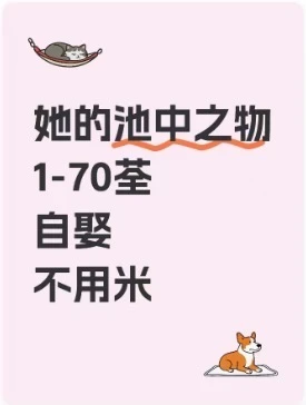 剧她的池中之物全集来喽