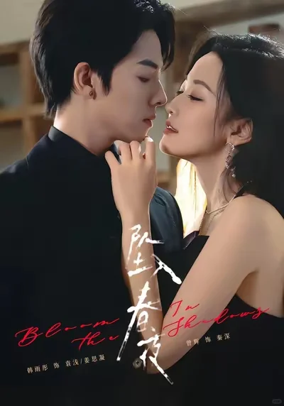 推荐几部不错的短剧