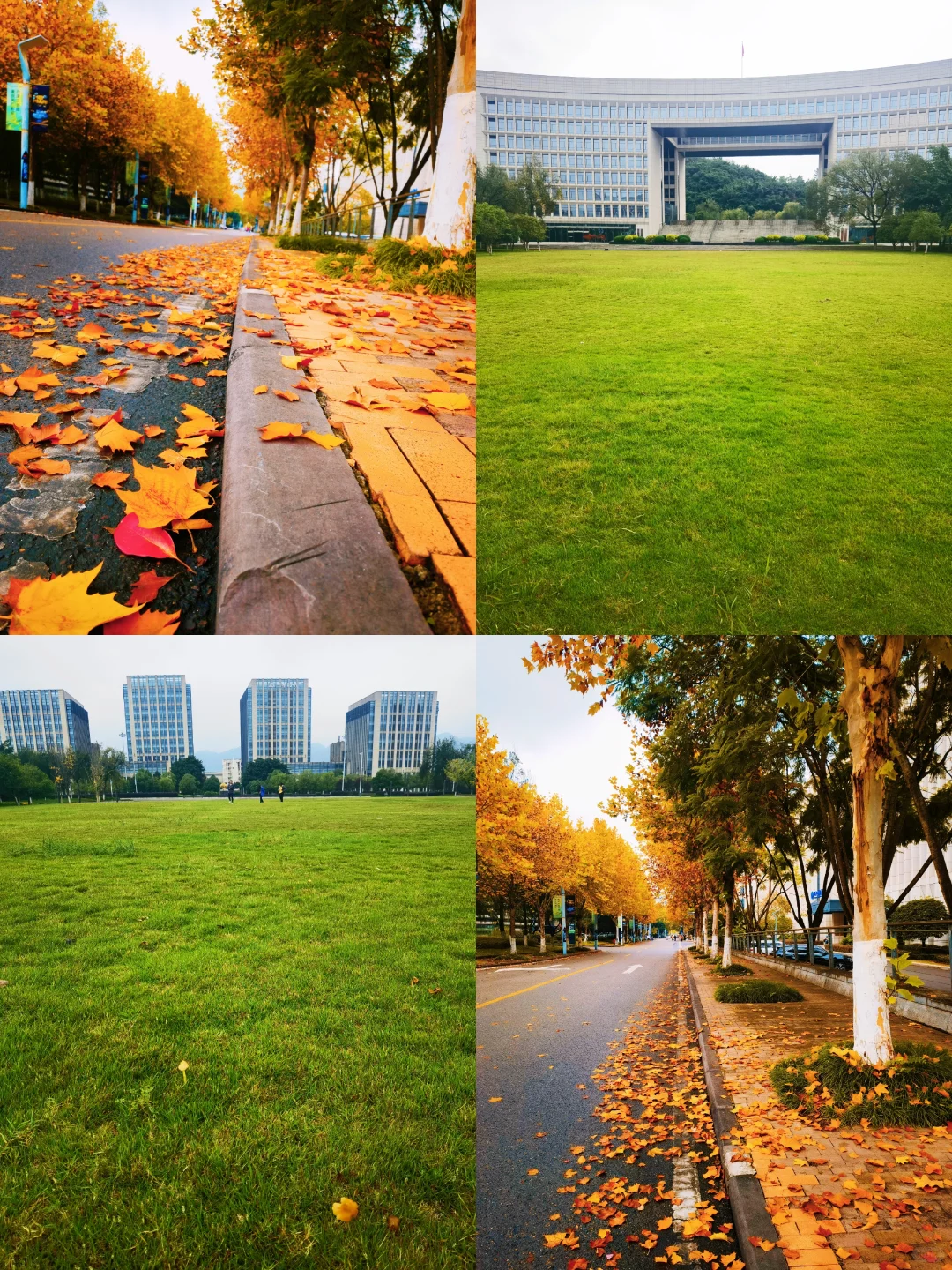 笑不活了😅｜在重庆，体验当总裁的一天