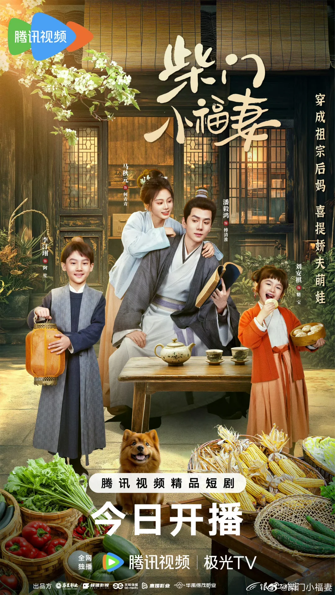  救命！粉丝按头的横屏短剧，看剧忘了喂猫