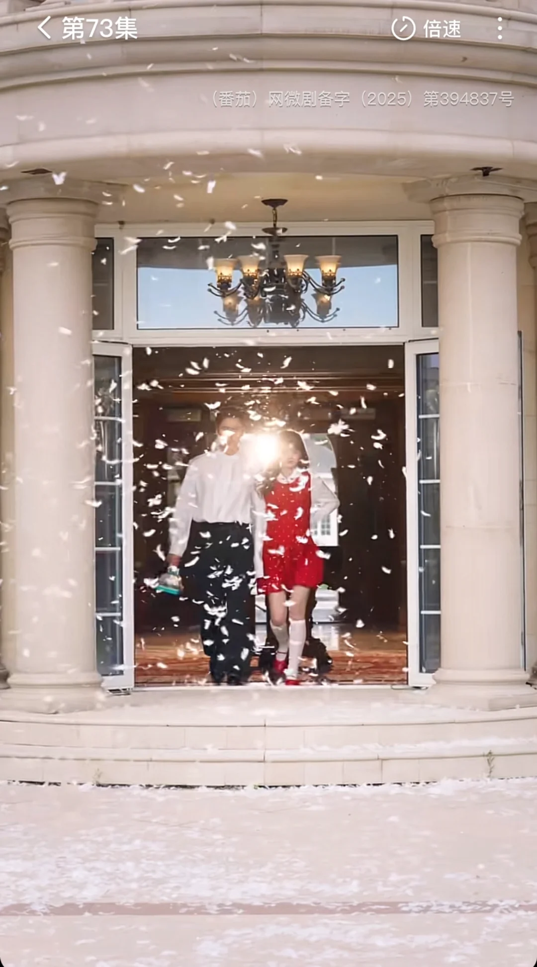 又是高颜值的赏心悦目🤩