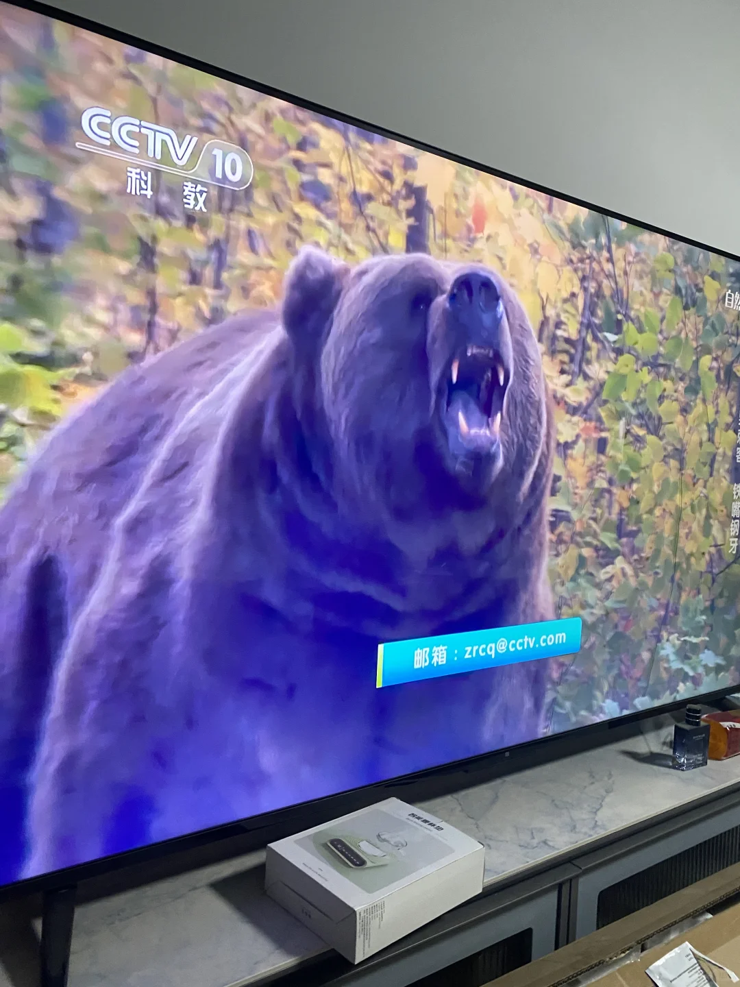 中午看电视暖心智能大屏电视带给我快乐