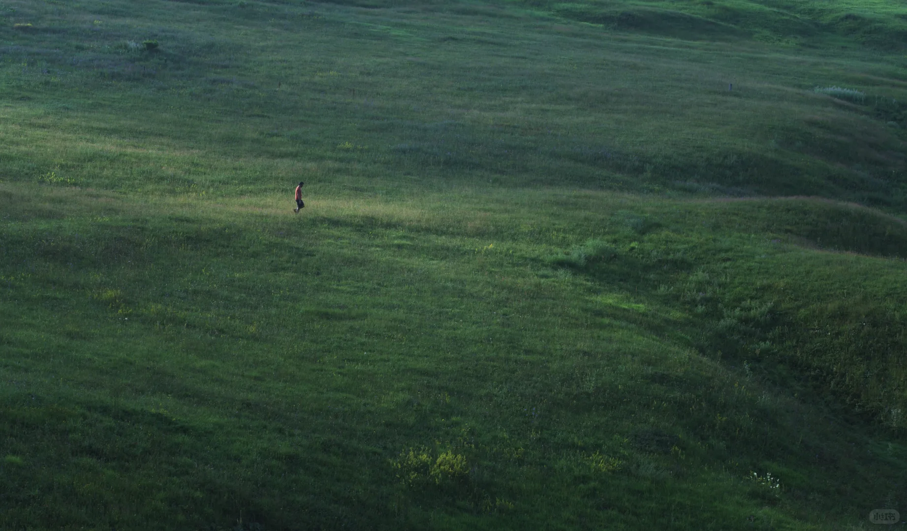 《欲望界线》, 一幅不服从与自由的图景。