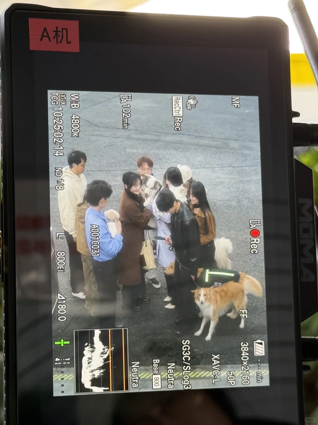 当我用拍电影的审美拍短剧 一些监视器视角