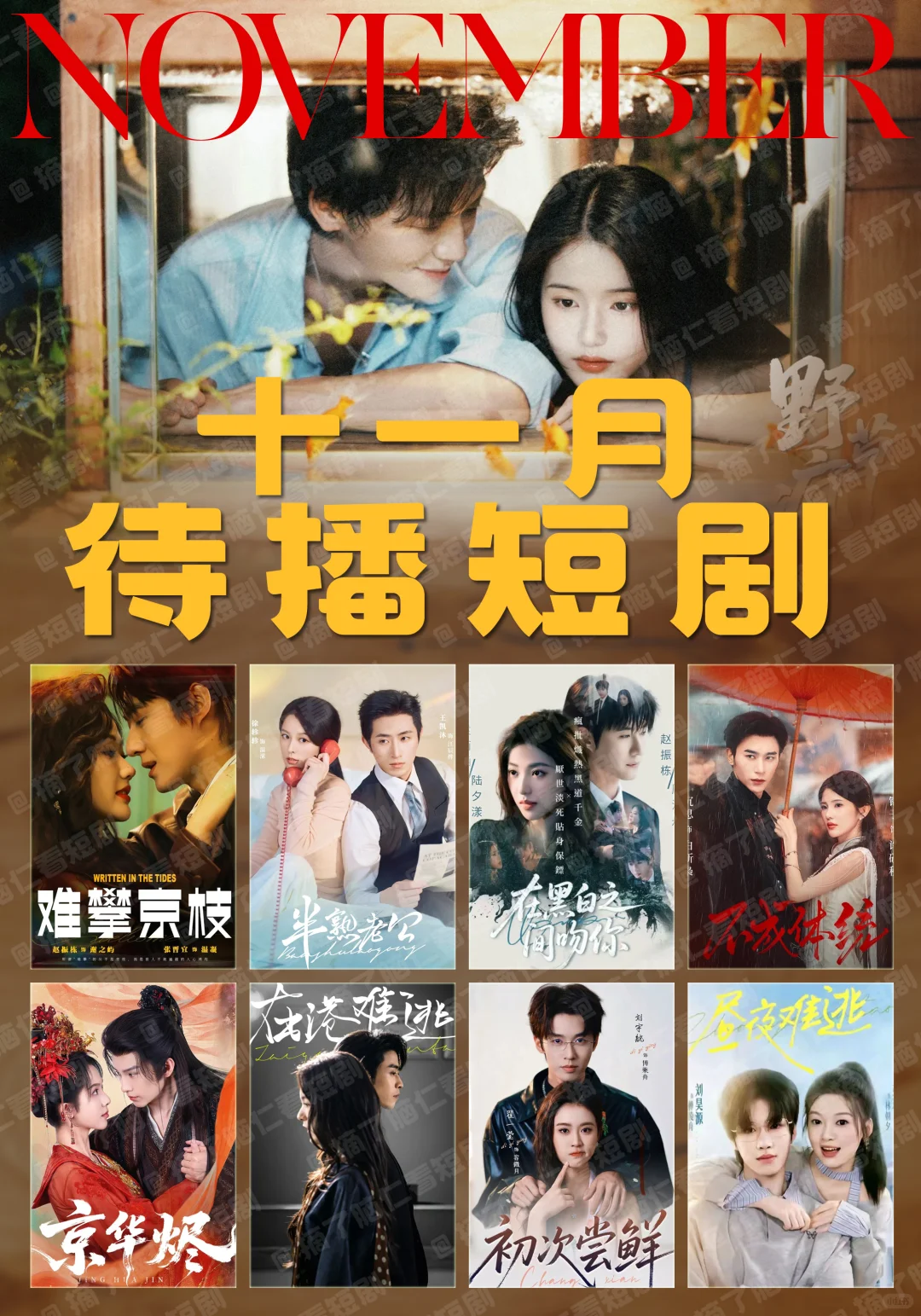 🔥十一月定档短剧，追剧日历期待一下