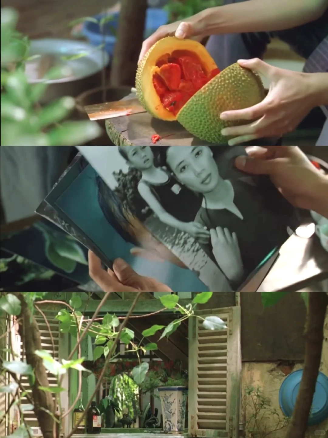 电影推荐🎬｜夏天的滋味🍏