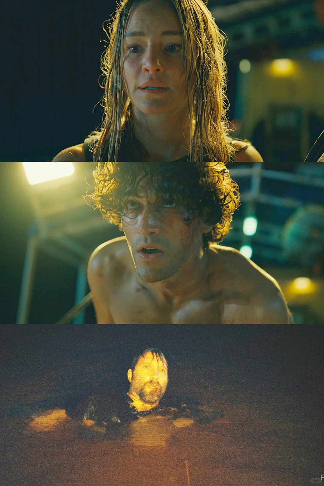 今年第一部恐怖片|真正的危险|从不是鲨鱼-夜雨聆风