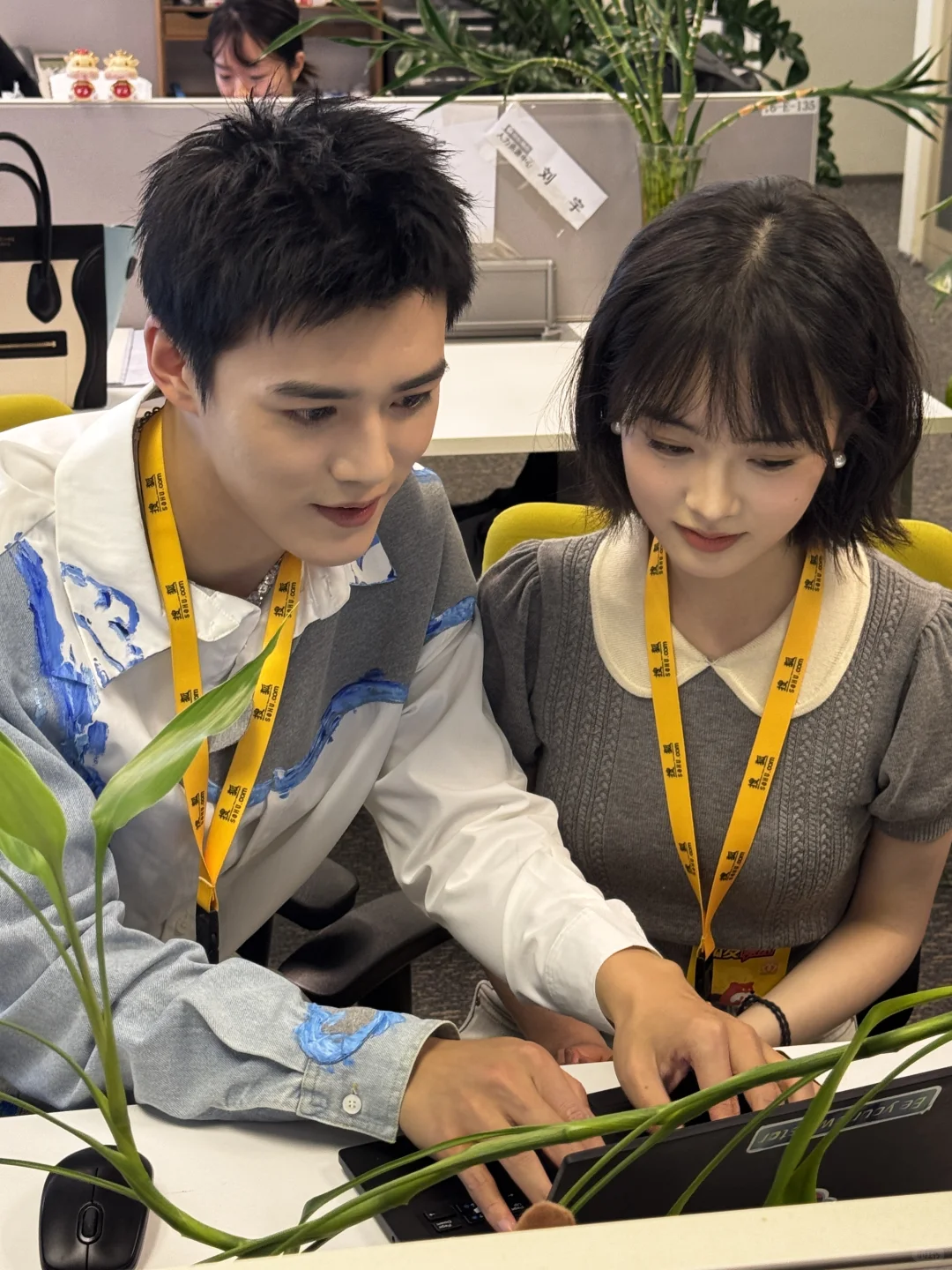 是紫薇！是尔康！