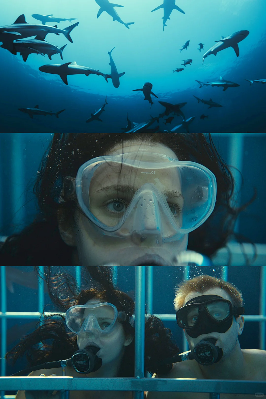 今年第一部恐怖片|真正的危险|从不是鲨鱼