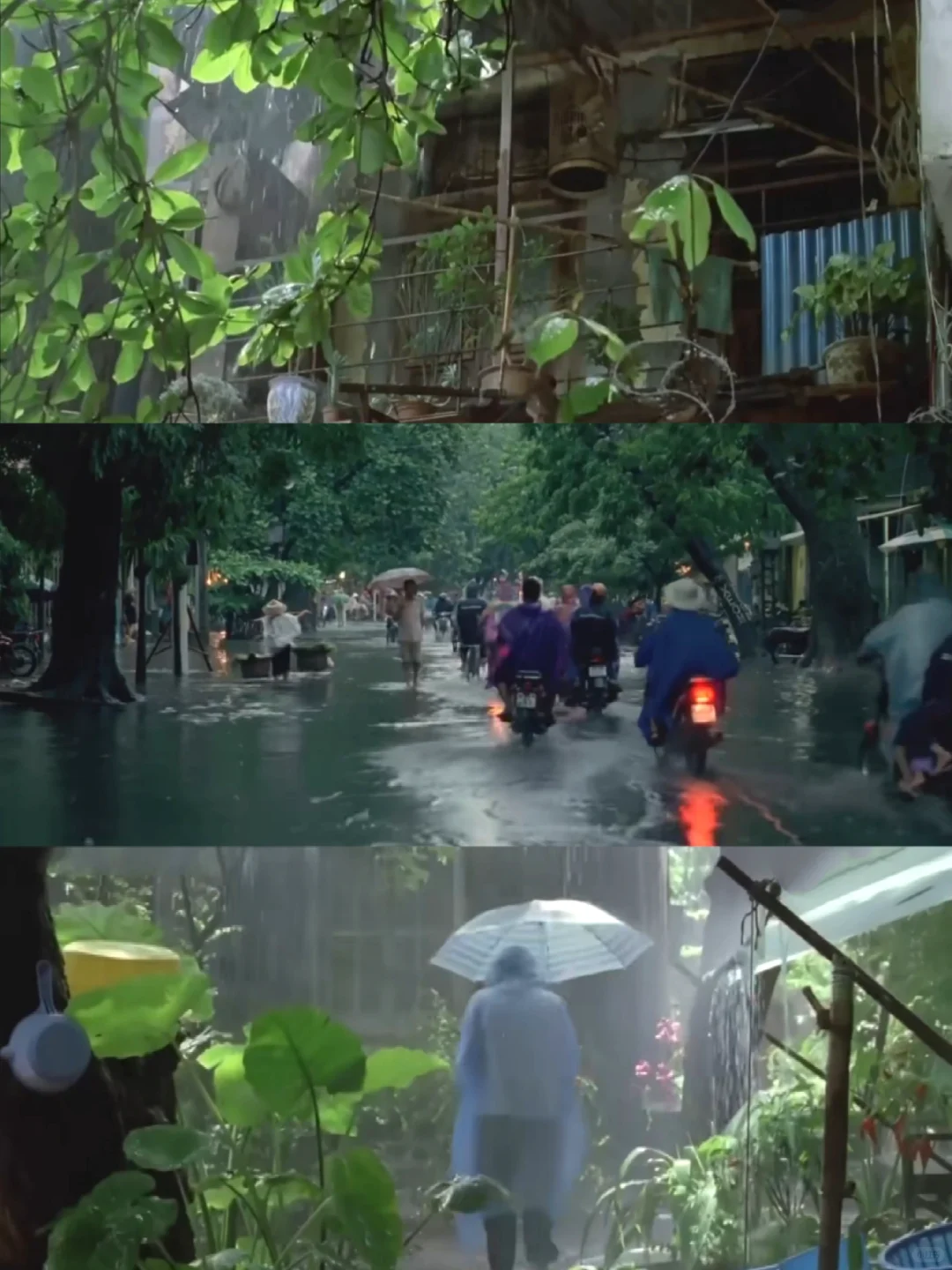 电影推荐🎬｜夏天的滋味🍏