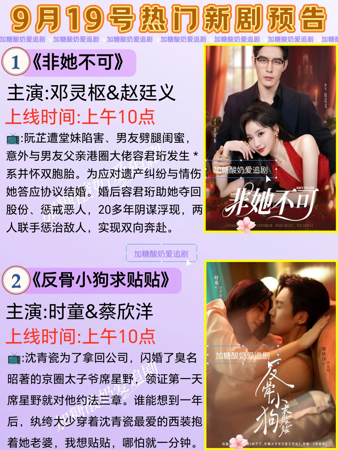 天花板短剧💥9月19日热门短剧预告