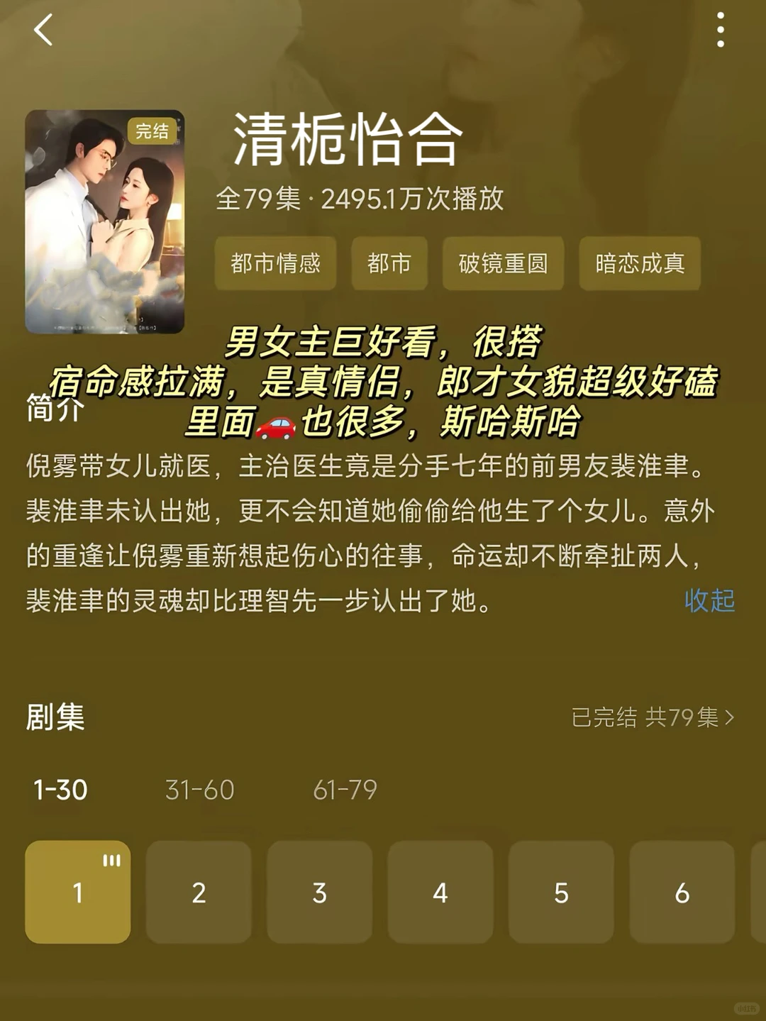 这才是成年人深夜看的宝藏好剧🥩尺渡无敌