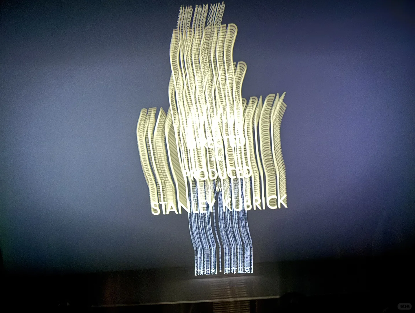 十一月电影时刻